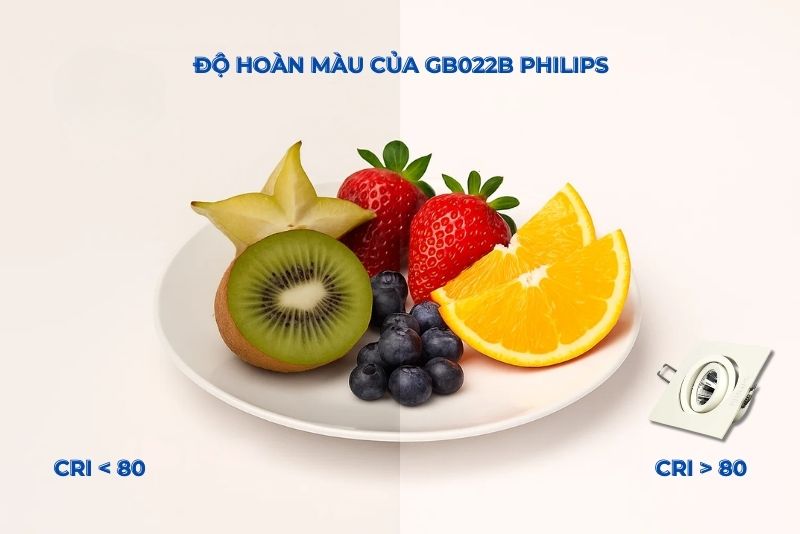 Đèn spotlight Philips GD022B 1x6W/10W cho màu sắc vật chân thực 