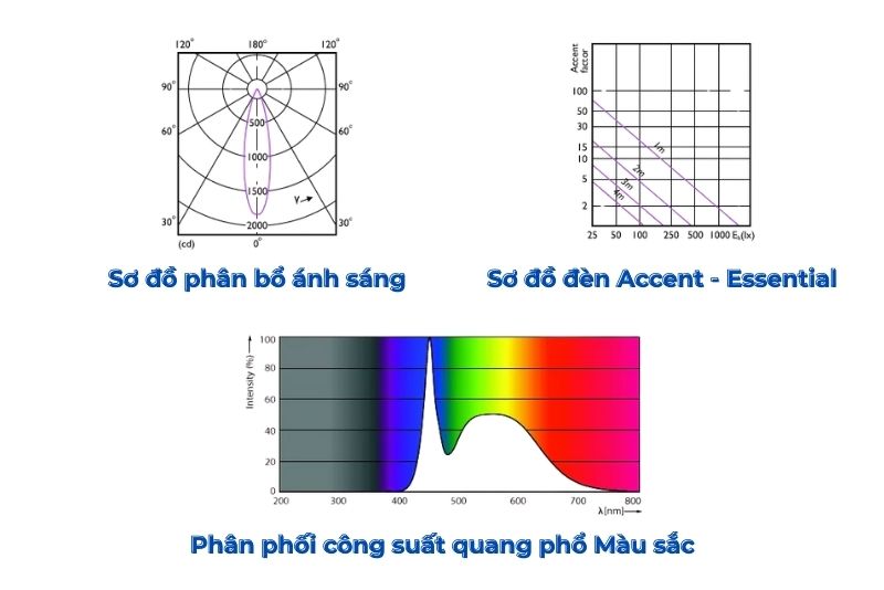 Mô tả khả năng chiếu sáng của Essential MR16 24D 5.5W LEDspot Philips