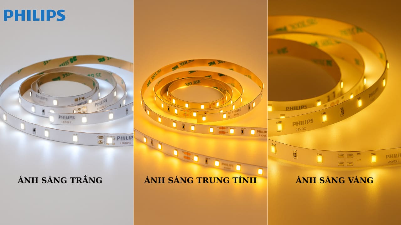 Đèn LED dây Philips LS155S G2 LED3 13W 24V DC có 3 màu sắc ánh sáng
